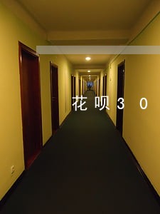 花呗3000元逾期上门催款 花呗3000元逾期上门催款