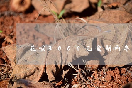 花呗3000元逾期两年 花呗3000元逾期两年