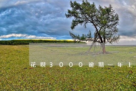 花呗3000逾期一年上征信吗 花呗3000逾期一年上征信吗