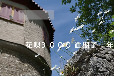 花呗3000逾期了一年利息多少 花呗3000逾期了一年利息多少