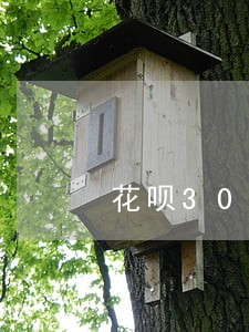 花呗300块钱逾期半个月 花呗300块钱逾期半个月