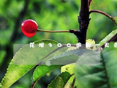 花呗300逾期一天会影响吗 花呗300逾期一天会影响吗