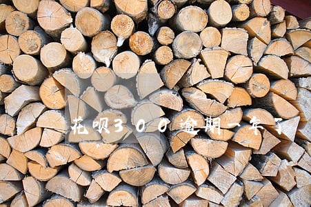 花呗300逾期一年了 花呗300逾期一年了