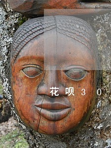 花呗300逾期两天 花呗300逾期两天