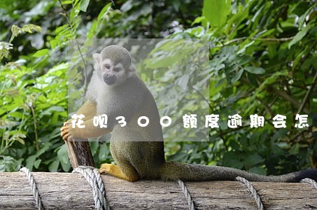 花呗300额度逾期会怎样 花呗300额度逾期会怎样