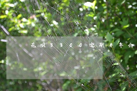 花呗3300逾期半年会上门吗 花呗3300逾期半年会上门吗