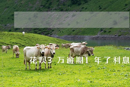 花呗3万逾期1年了利息 花呗3万逾期1年了利息