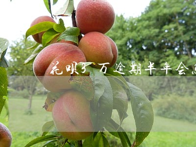 花呗3万逾期半年会怎么样 花呗3万逾期半年会怎么样