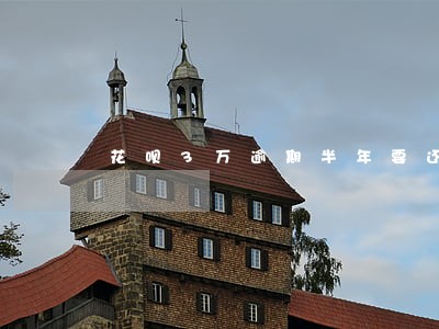 花呗3万逾期半年要还一半 花呗3万逾期半年要还一半