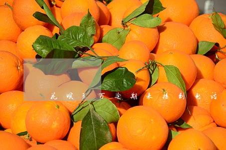 花呗3万逾期未接到电话 花呗3万逾期未接到电话