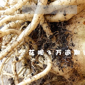 花呗3万逾期说上门核实情况6 花呗3万逾期说上门核实情况6