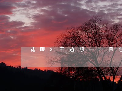 花呗3千逾期一个月怎么了 花呗3千逾期一个月怎么了