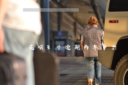 花呗3千逾期两年多少 花呗3千逾期两年多少