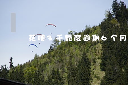 花呗3千额度逾期6个月会怎么样 花呗3千额度逾期6个月会怎么样