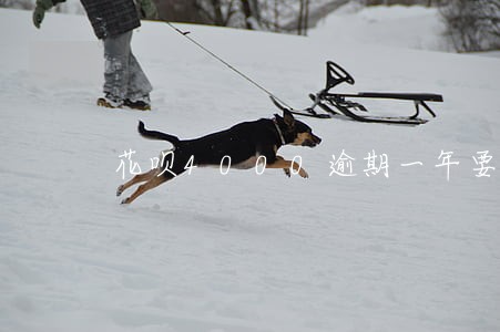 花呗4000逾期一年要还多少 花呗4000逾期一年要还多少