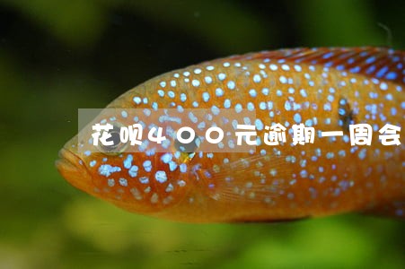 花呗400元逾期一周会怎样 花呗400元逾期一周会怎样