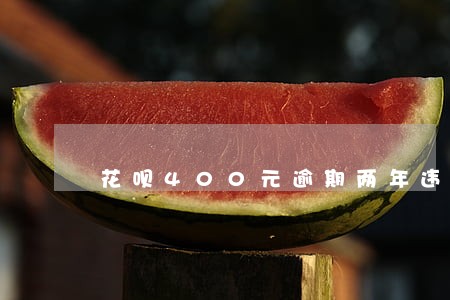 花呗400元逾期两年违约金 花呗400元逾期两年违约金