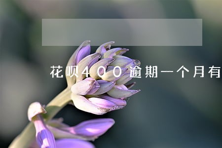 花呗400逾期一个月有事吗 花呗400逾期一个月有事吗