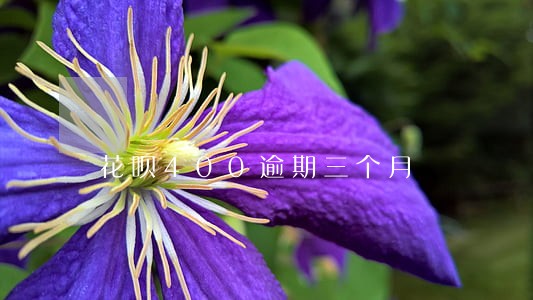 花呗400逾期三个月 花呗400逾期三个月