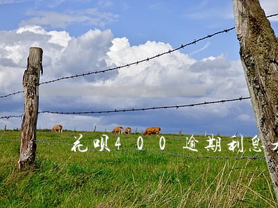 花呗400逾期利息是多少 花呗400逾期利息是多少