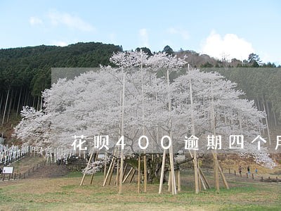 花呗400逾期四个月 花呗400逾期四个月