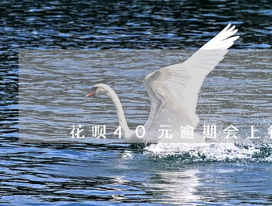 花呗40元逾期会上征信吗 花呗40元逾期会上征信吗