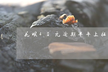 花呗40元逾期半年上征信吗 花呗40元逾期半年上征信吗