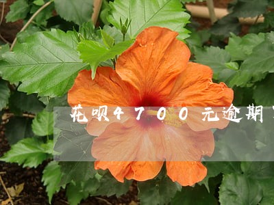 花呗4700元逾期了不接电话 花呗4700元逾期了不接电话