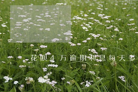 花呗4万逾期利息每天多少 花呗4万逾期利息每天多少