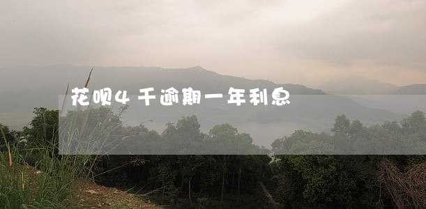 花呗4千逾期一年利息 花呗4千逾期一年利息