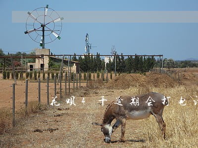 花呗4千逾期会打电话给家人吗 花呗4千逾期会打电话给家人吗