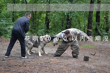 花呗5000以内逾期没还会怎样 花呗5000以内逾期没还会怎样