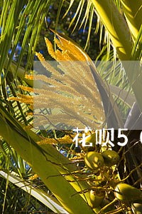 花呗5000逾期三年