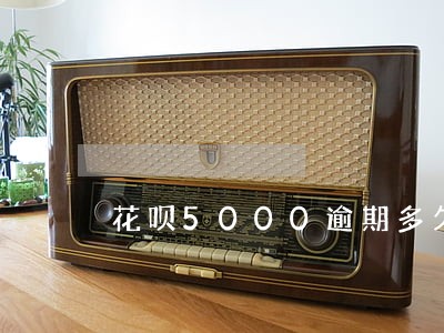花呗5000逾期多久 花呗5000逾期多久