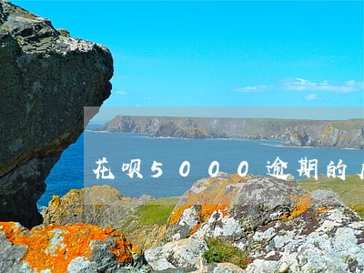 花呗5000逾期的后果 花呗5000逾期的后果