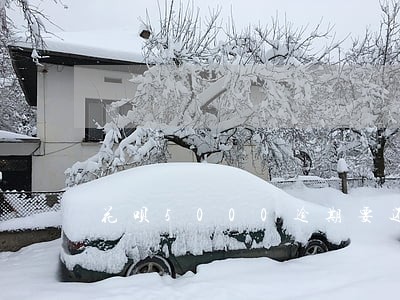 花呗5000逾期要还多少 花呗5000逾期要还多少