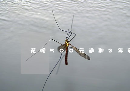 花呗500元逾期2年利息2百多 花呗500元逾期2年利息2百多