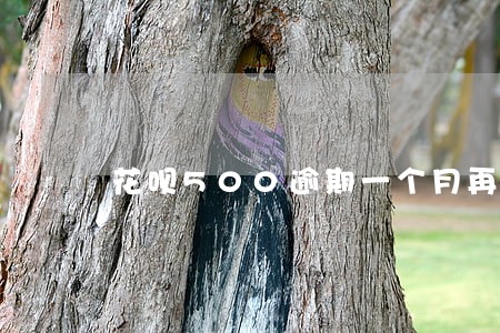 花呗500逾期一个月再还 花呗500逾期一个月再还