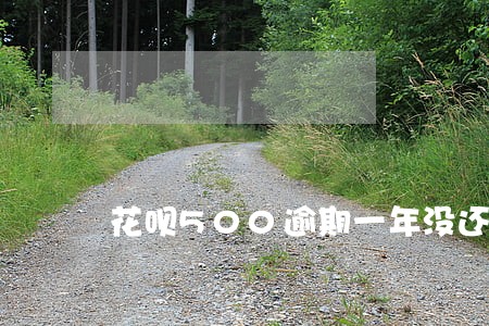 花呗500逾期一年没还 花呗500逾期一年没还