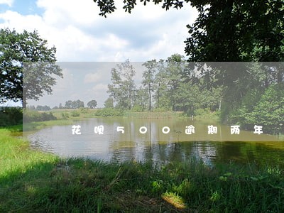 花呗500逾期两年