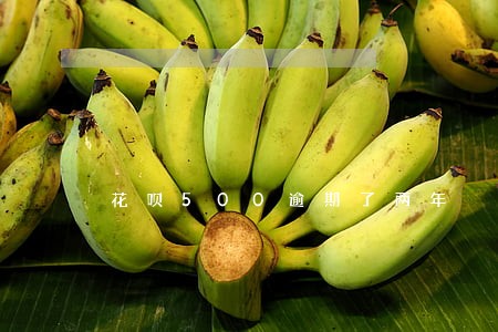 花呗500逾期了两年 花呗500逾期了两年