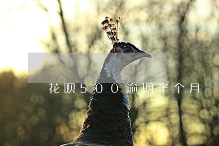 花呗500逾期半个月 花呗500逾期半个月