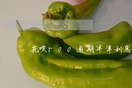 花呗500逾期半年利息多少 花呗500逾期半年利息多少