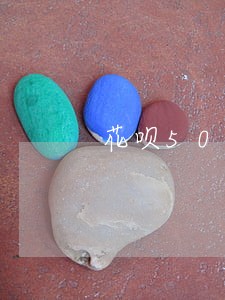 花呗500额度逾期图片
