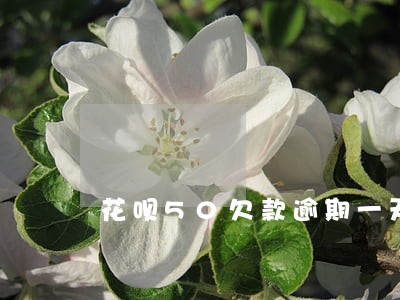 花呗50欠款逾期一天会怎样 花呗50欠款逾期一天会怎样