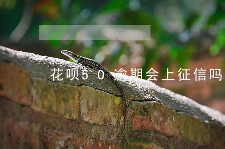 花呗50逾期会上征信吗 花呗50逾期会上征信吗