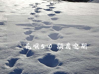 花呗50额度逾期 花呗50额度逾期