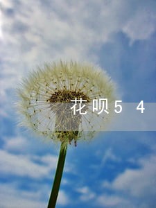 花呗54万逾期被冻结 花呗54万逾期被冻结
