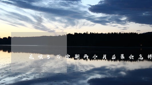 花呗5万逾期两个月后果会怎样 花呗5万逾期两个月后果会怎样