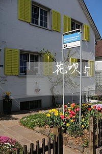 花呗5天逾期备用金还能借吗 花呗5天逾期备用金还能借吗